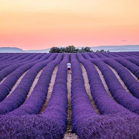 Maison De Village De 98 M2 Typiquement Provencale Pierrevert Экстерьер фото