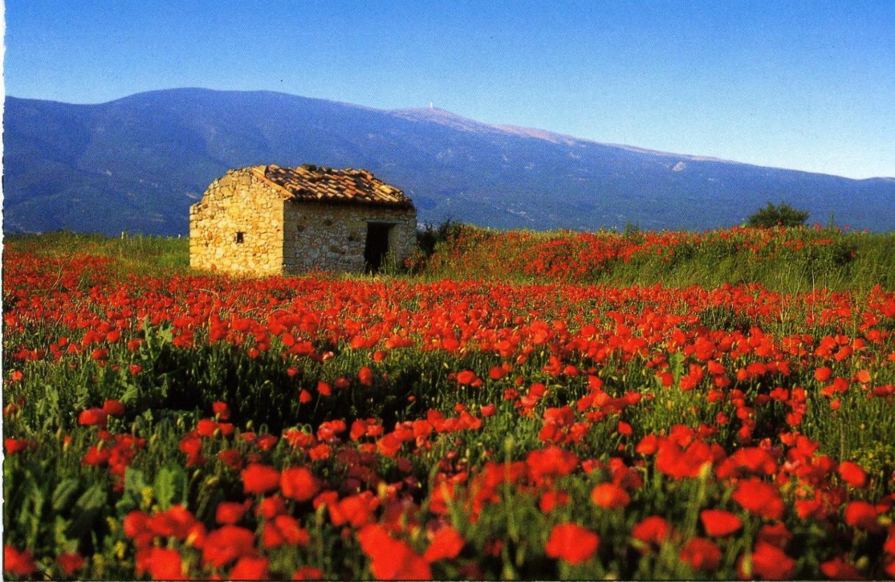 Maison De Village De 98 M2 Typiquement Provencale Pierrevert Экстерьер фото